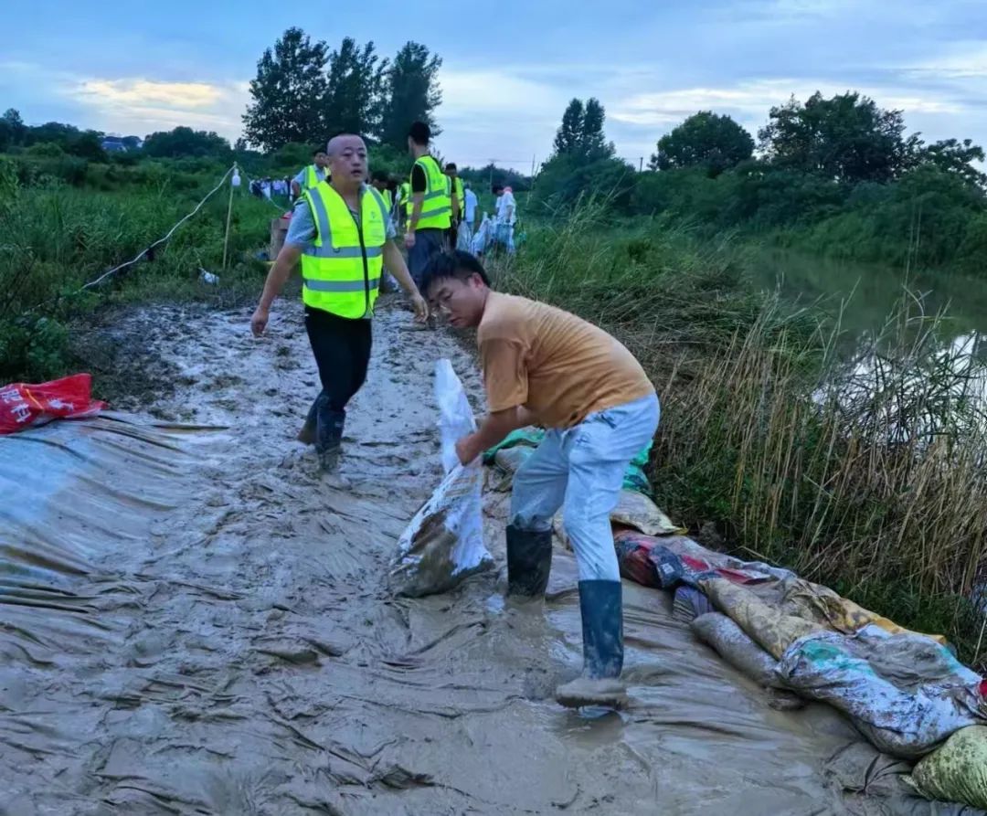 日夜奋战!庐江多地迅速行动…… 日夜奋战!庐江多地迅速行动……