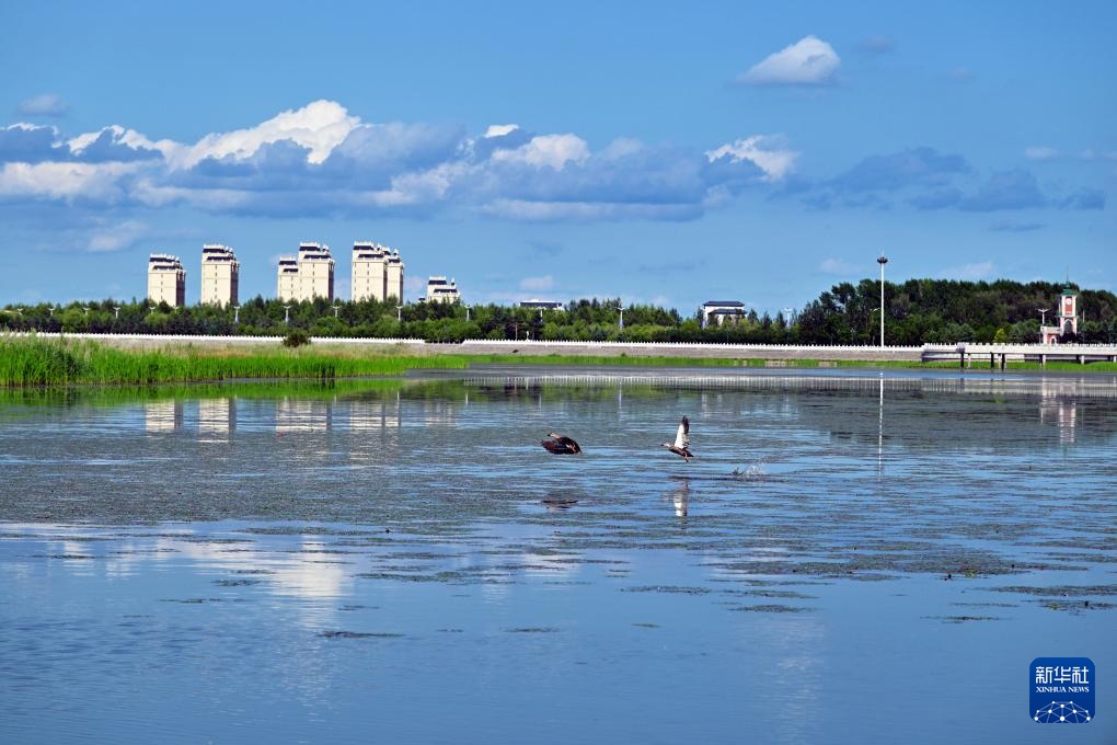 探访同江三江口国家湿地公园 探访同江三江口国家湿地公园