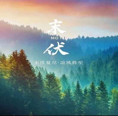 三伏天已到！三伏应该注意些什么？