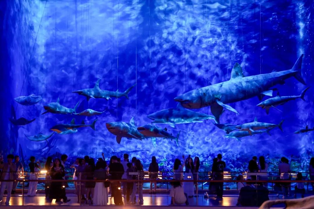 “暑假能不能晚点下班?” 广东各大博物馆:安排! “暑假能不能晚点下班?” 广东各大博物馆:安排!