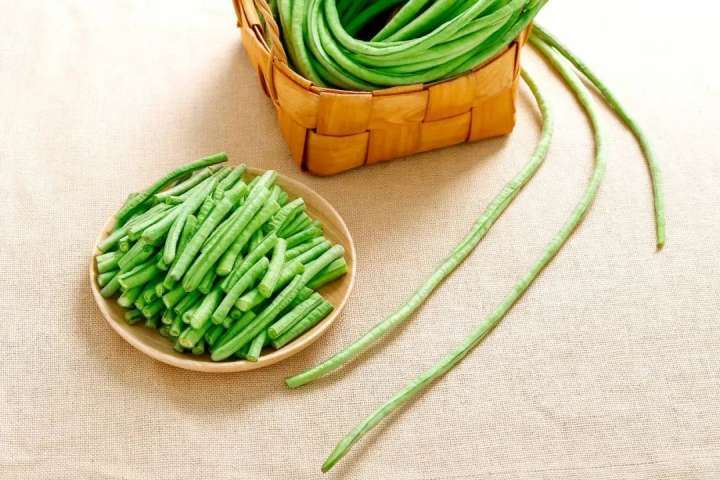 豆橛子，你到底有什么魔力啊？
