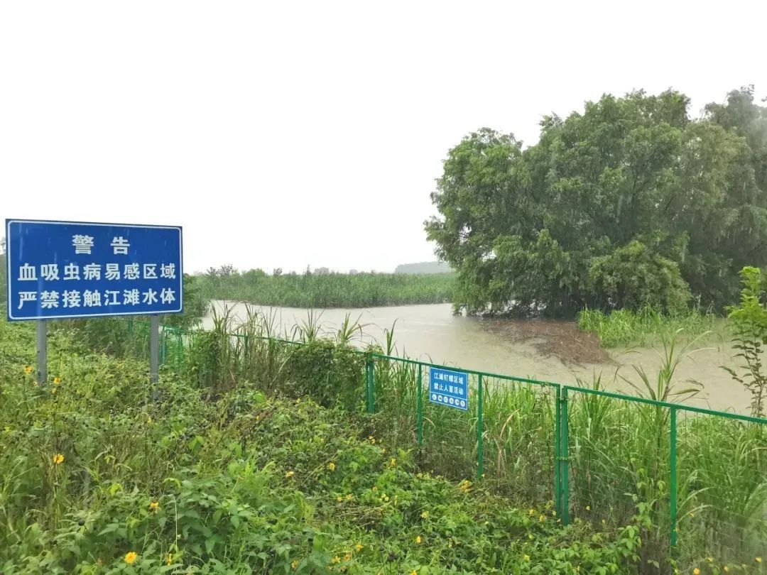 属重点防制区!镇江疾控发布最新提醒 属重点防制区!镇江疾控发布最新提醒