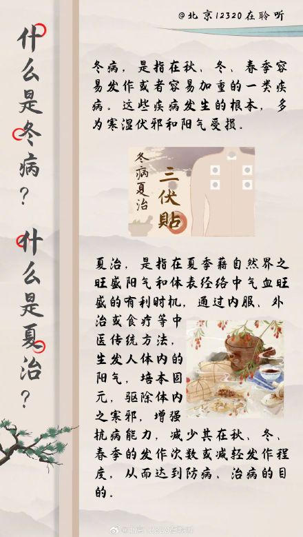 明天入伏 你的养生搭子三伏贴即将上线