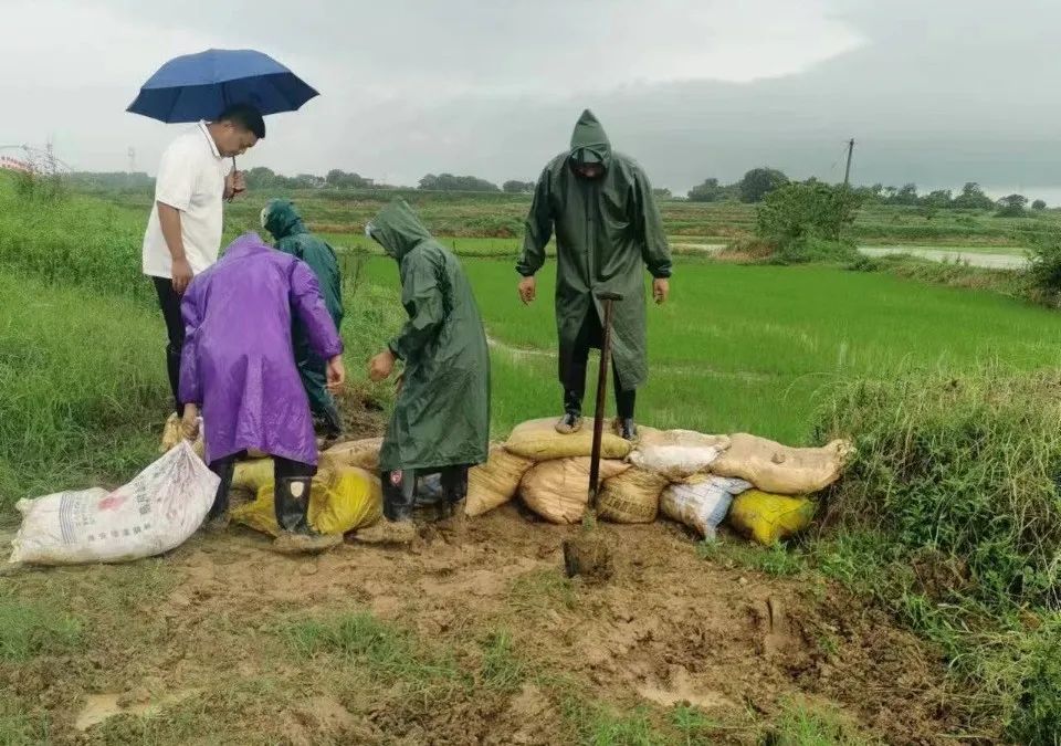 日夜奋战!庐江多地迅速行动…… 日夜奋战!庐江多地迅速行动……