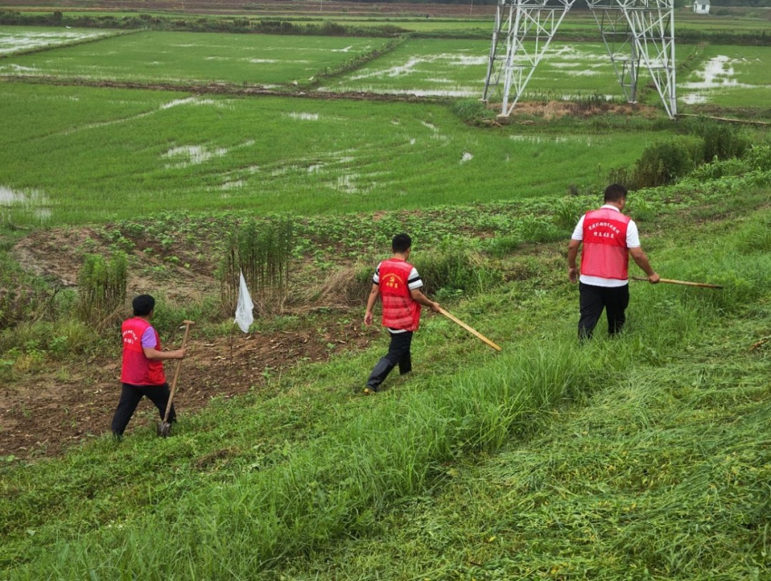 日夜奋战!庐江多地迅速行动…… 日夜奋战!庐江多地迅速行动……