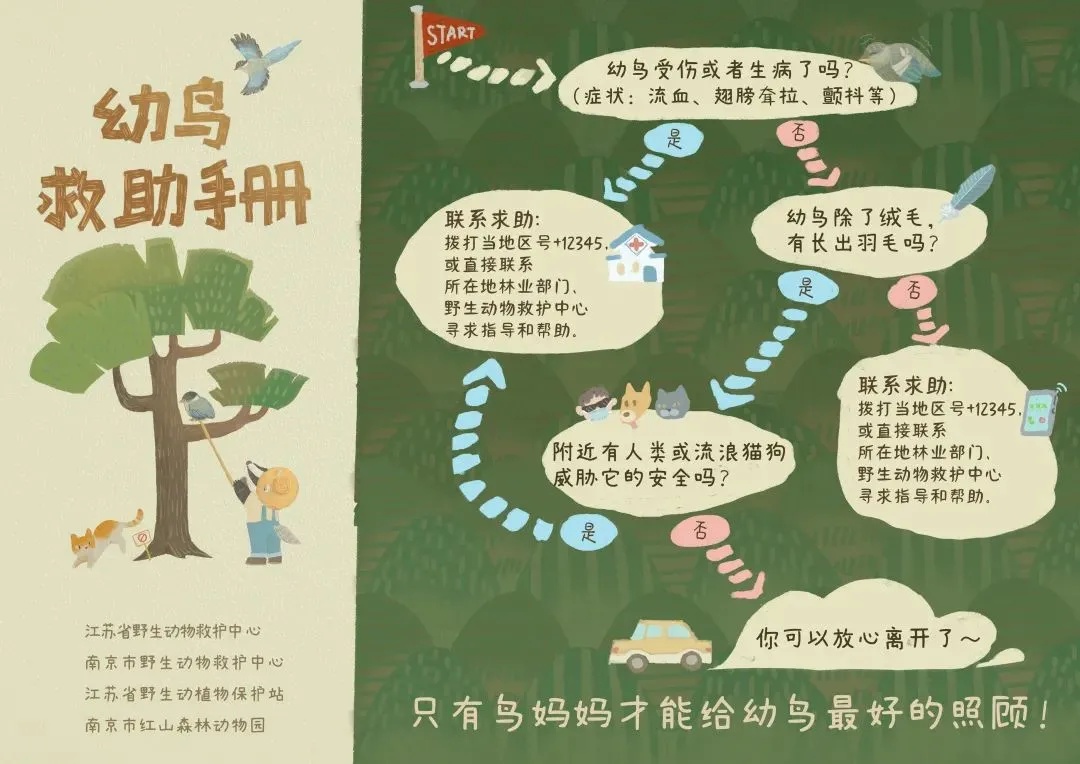 不用救!看见这个千万请注意 不用救!看见这个千万请注意