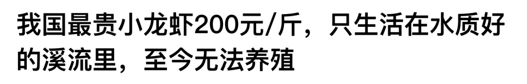 小龙虾江湖地位不稳？谁能踢馆“抢饭碗”？