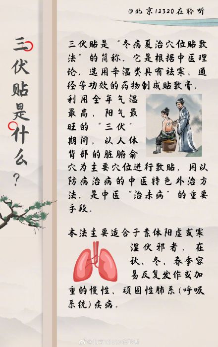 明天入伏 你的养生搭子三伏贴即将上线