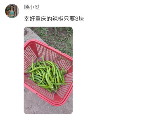 天价辣椒？曾卖到288元一斤，重庆网友直呼离谱