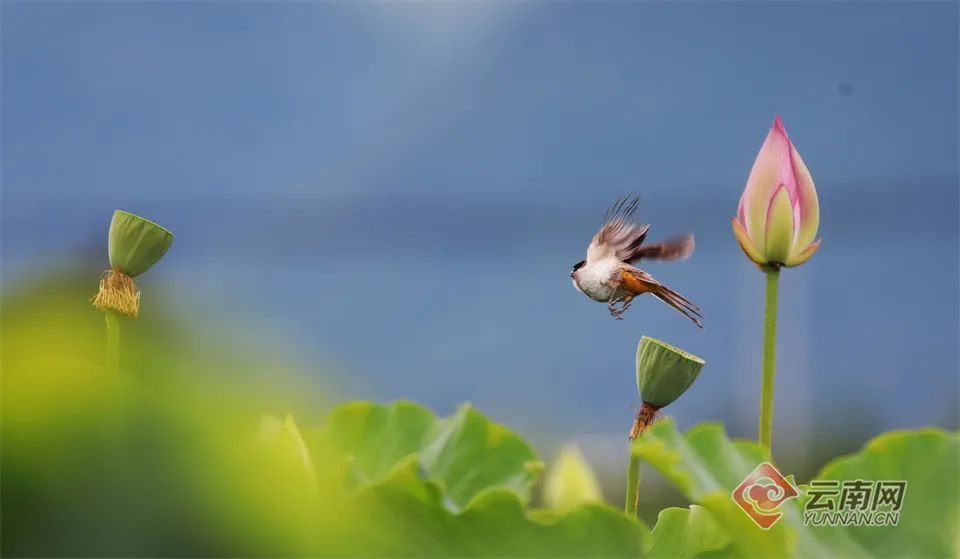 “0元”养生!10天瘦4斤,眼神都清澈了?医生提醒…… “0元”养生!10天瘦4斤,眼神都清澈了?医生提醒……