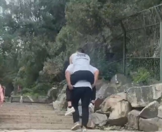 圆梦时刻!6名男子一起抬轮椅兄弟,登泰山! 圆梦时刻!6名男子一起抬轮椅兄弟,登泰山!