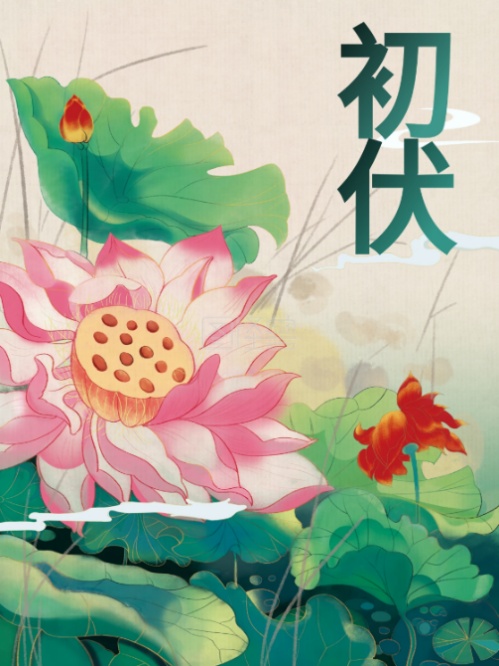 三伏天已到！三伏应该注意些什么？