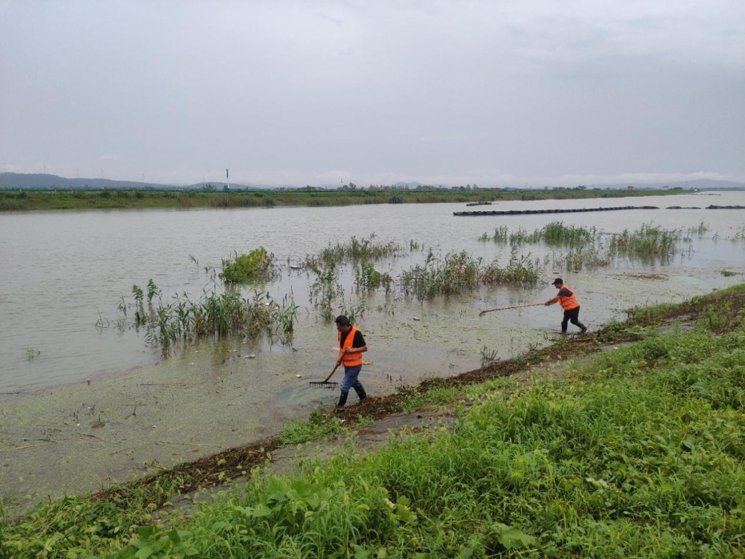 日夜奋战!庐江多地迅速行动…… 日夜奋战!庐江多地迅速行动……