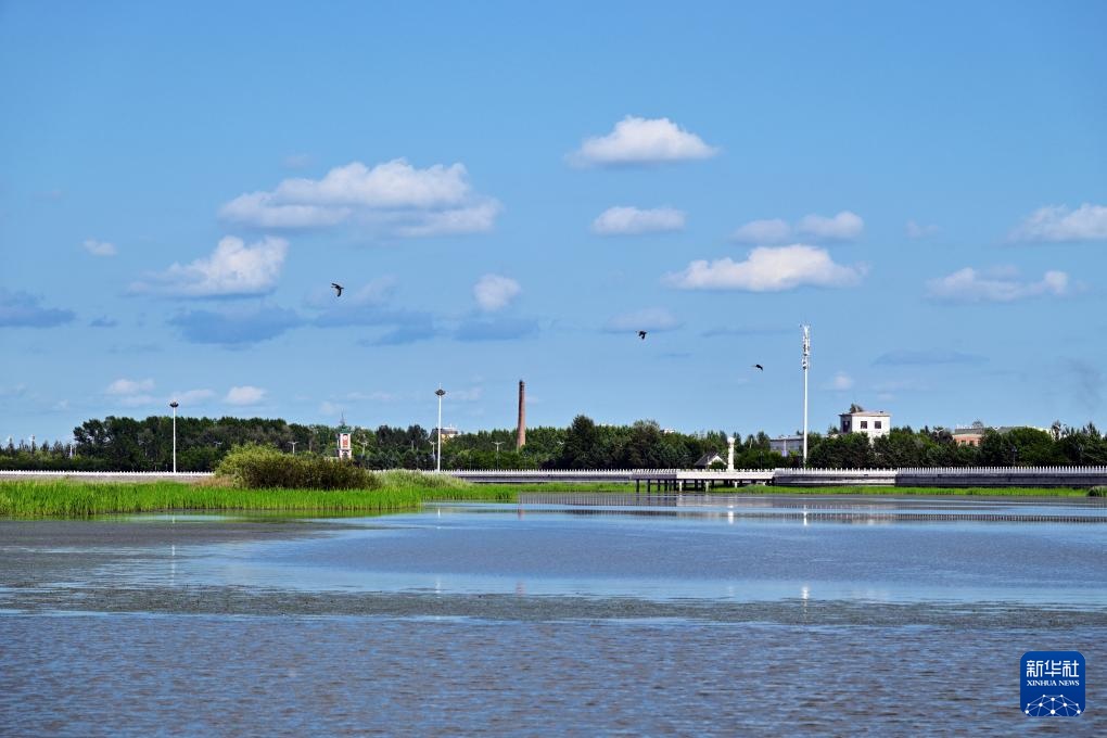 探访同江三江口国家湿地公园 探访同江三江口国家湿地公园