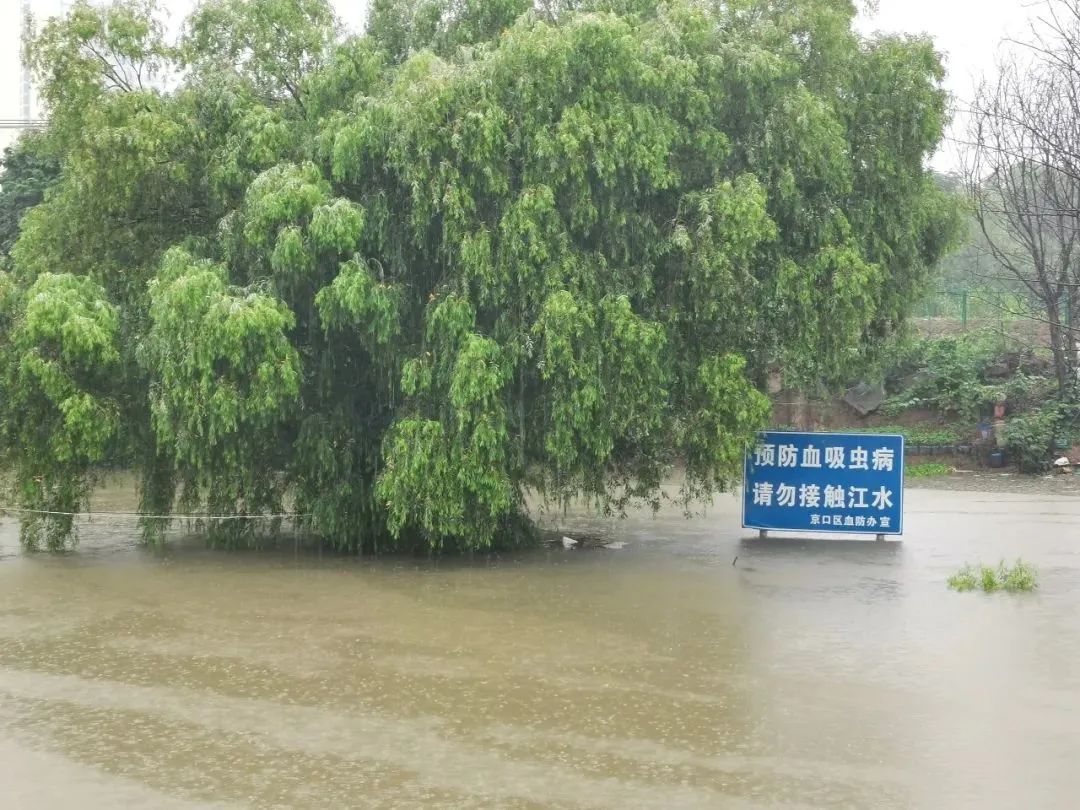 属重点防制区!镇江疾控发布最新提醒 属重点防制区!镇江疾控发布最新提醒