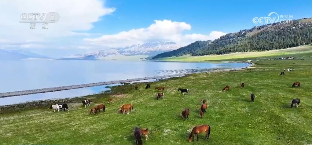 新疆各地“新”潮涌动 特色文旅IP“点燃”大美新疆旅游热潮 新疆各地“新”潮涌动 特色文旅IP“点燃”大美新疆旅游热潮