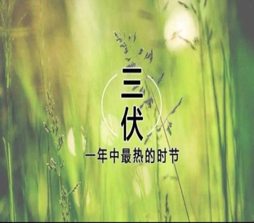 三伏天已到！三伏应该注意些什么？