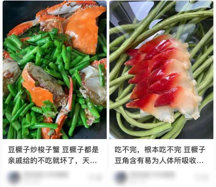 豆橛子，你到底有什么魔力啊？