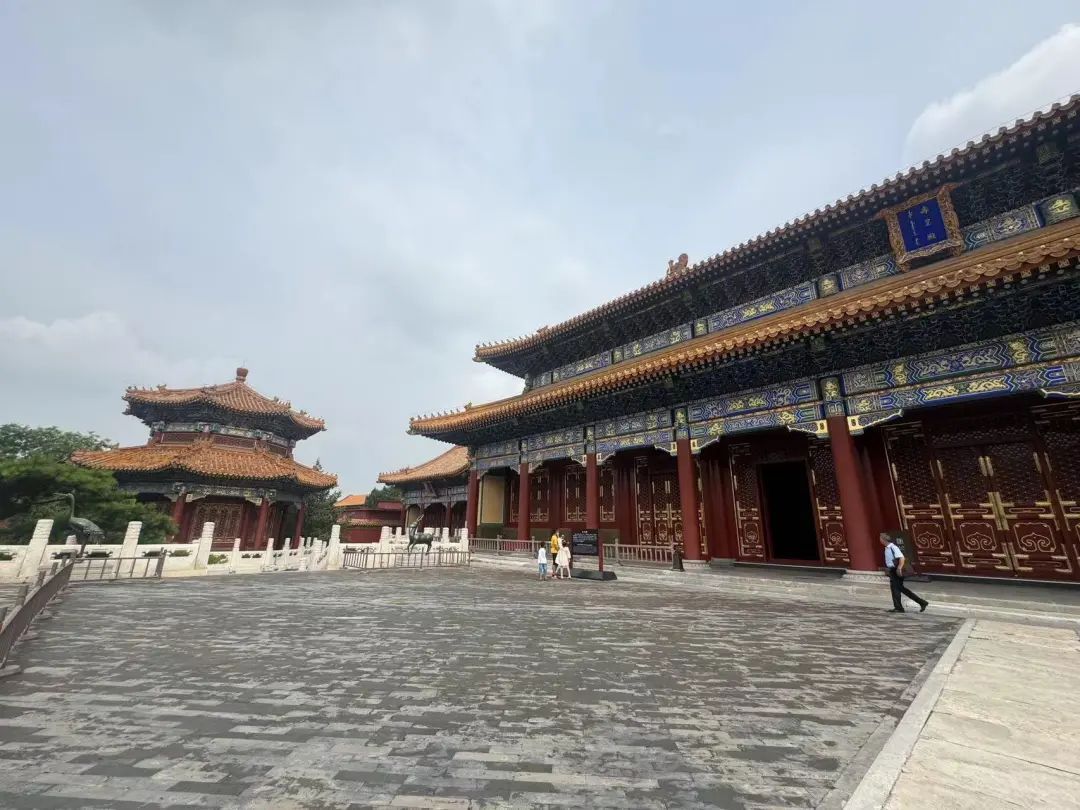 北京市属公园今起取消周一闭馆！欢迎大小朋友来玩~