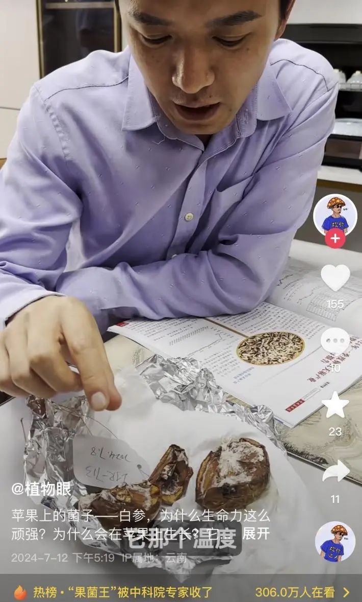 苹果长蘑菇后意外成网红！能吃？能！