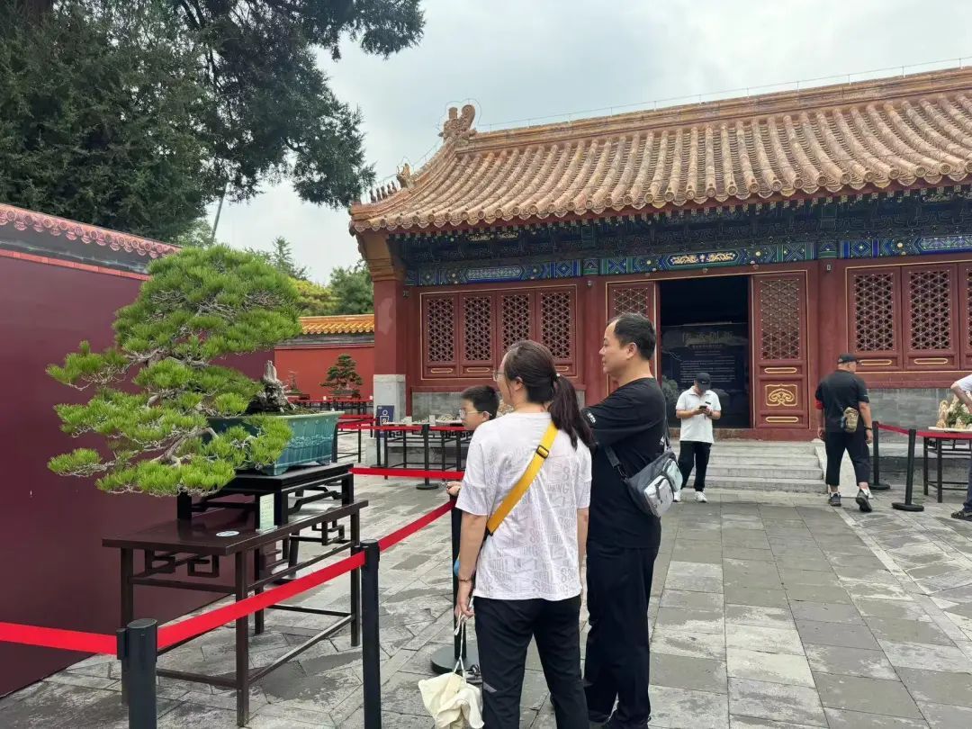 北京市属公园今起取消周一闭馆！欢迎大小朋友来玩~