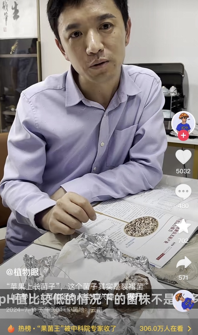 苹果长蘑菇后意外成网红！能吃？能！