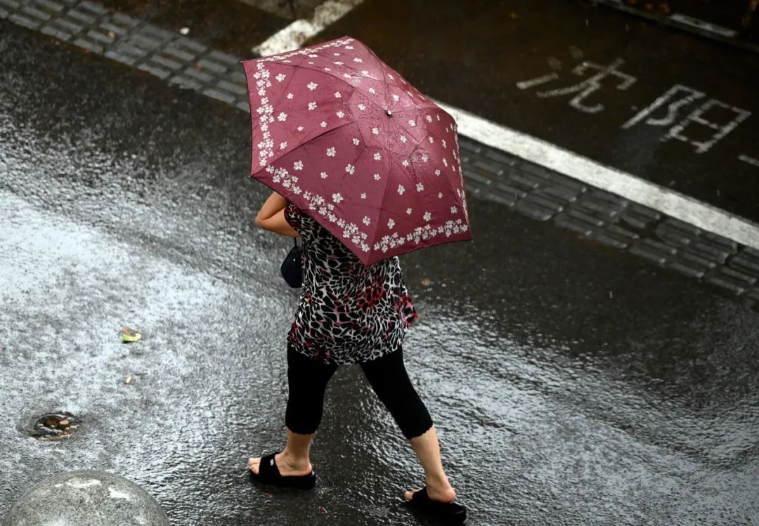 注意！辽宁全省大范围降雨来了！沈阳的具体情况是……