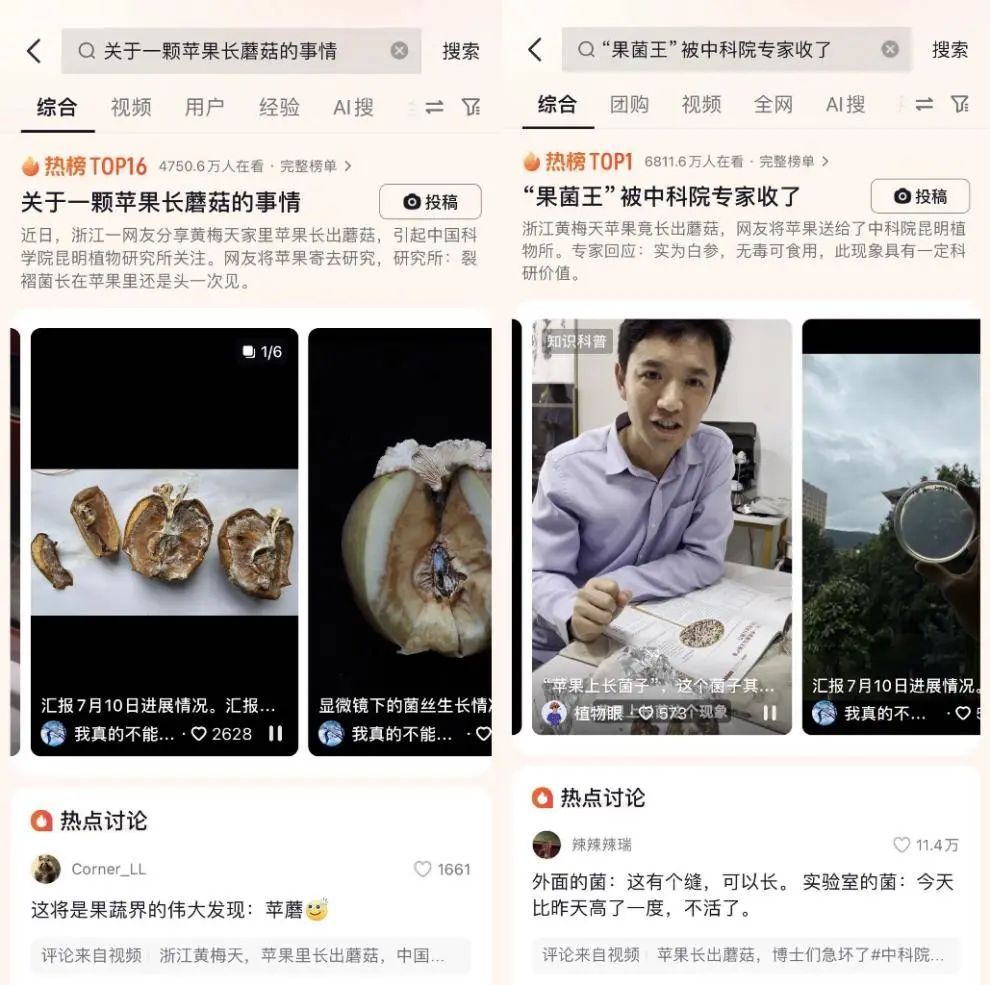 苹果长蘑菇后意外成网红！能吃？能！