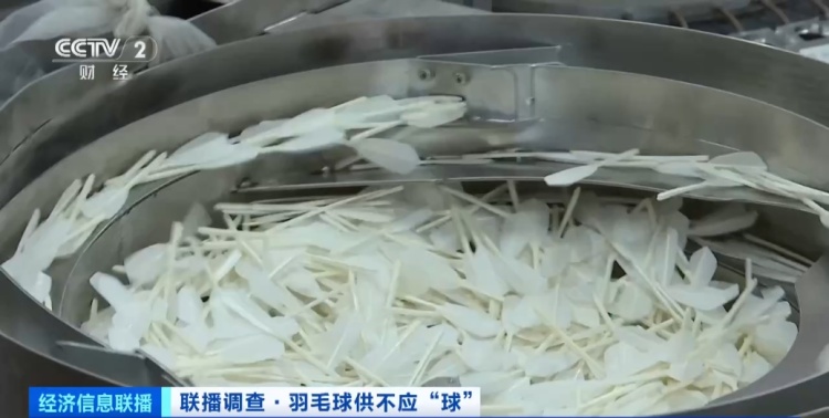 价格“狂飙”！热销品类卖断货！这项2.5亿人参与的运动，太火爆