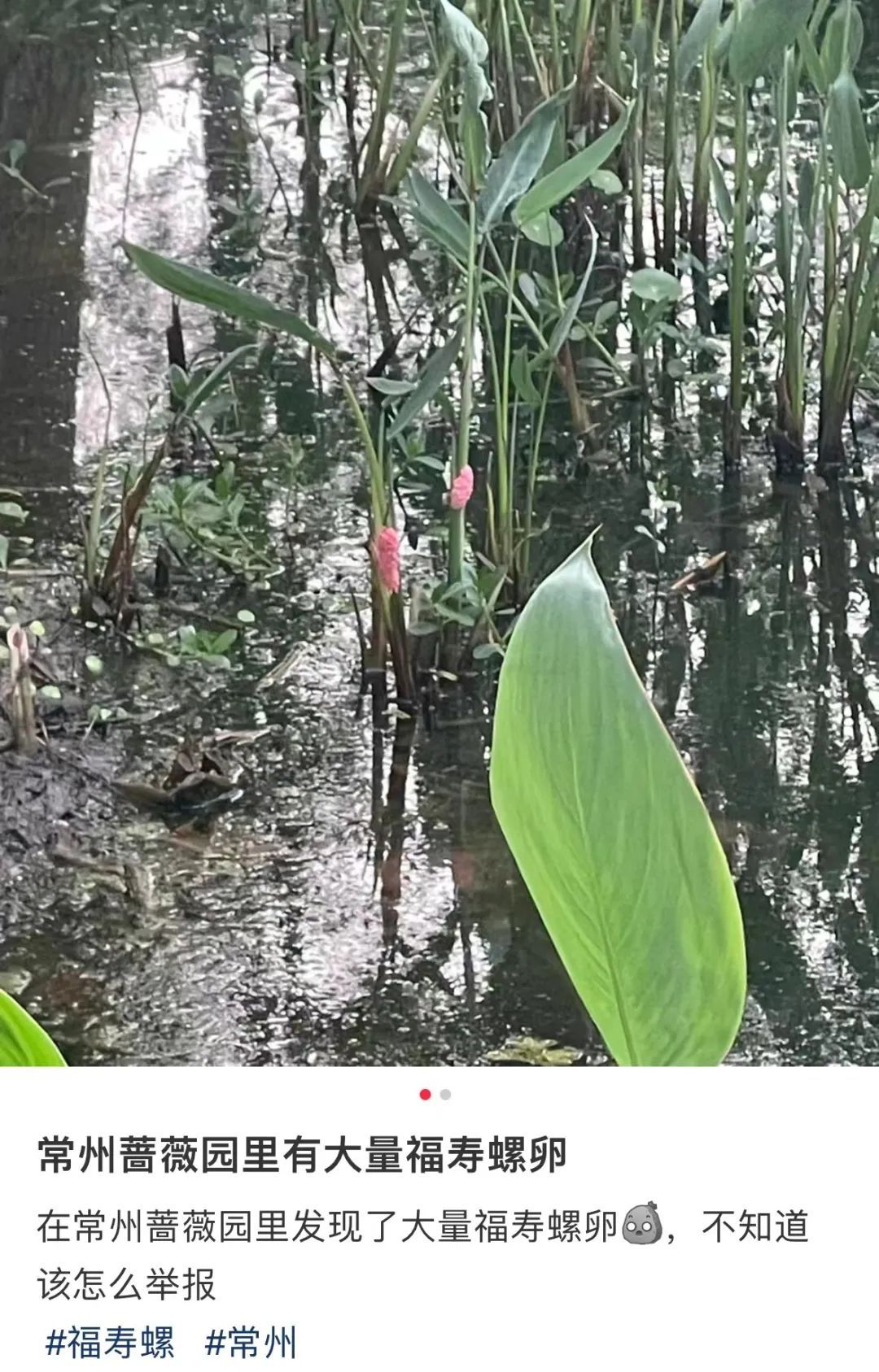 别碰!别吃!寄生虫多达6000条 别碰!别吃!寄生虫多达6000条