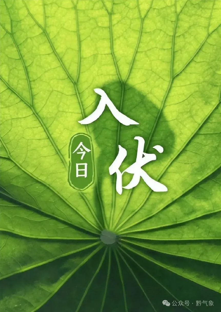 40天！“超长版”三伏天开启，贵州会进入高温模式吗？