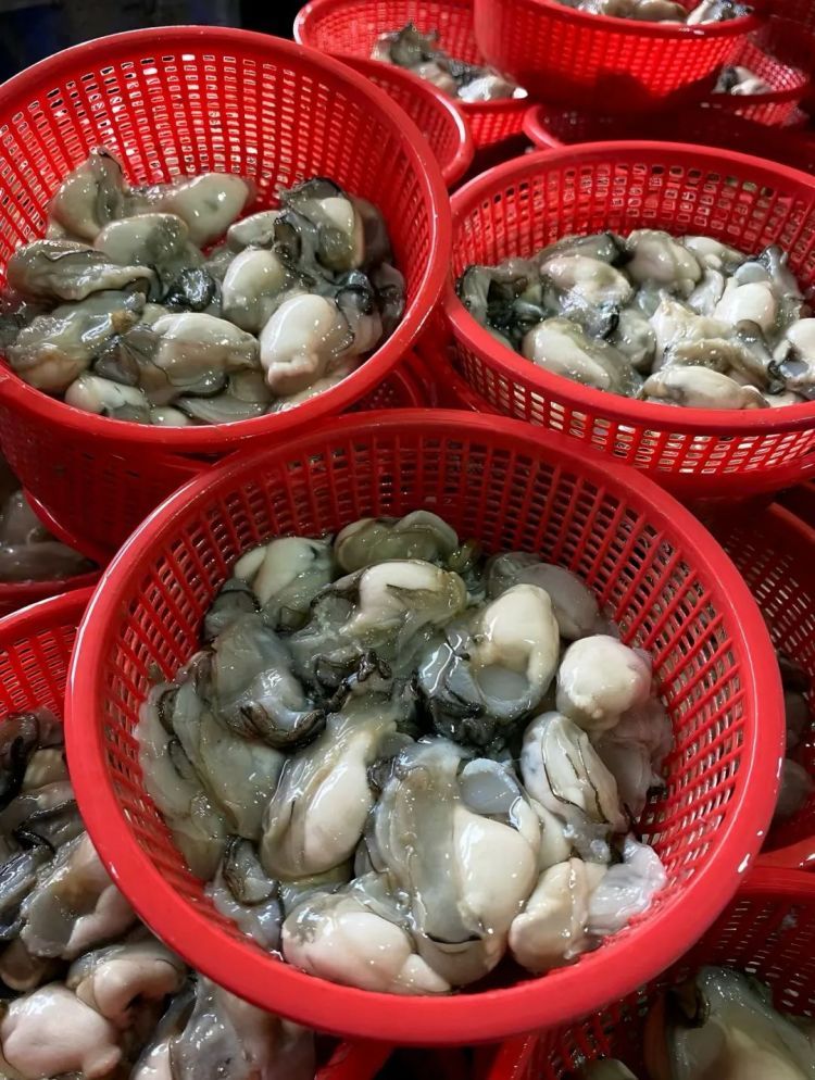 降价！厦门人的餐桌主角大量上市