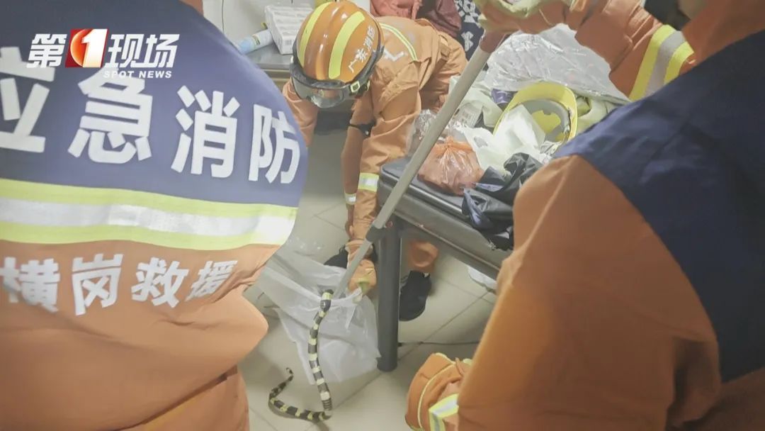 仅半月，深圳报警达70多起，警惕！