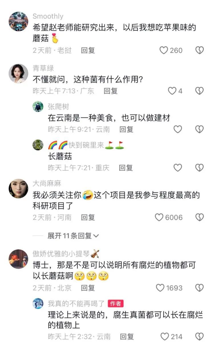 苹果长蘑菇后意外成网红！能吃？能！