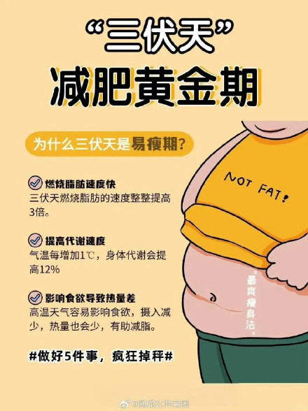 三伏天减肥瘦的太快了 三伏天减肥瘦的太快了