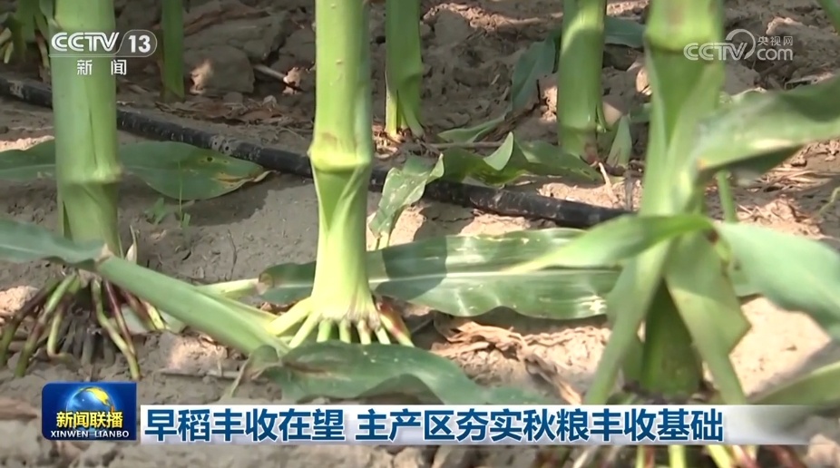 经济增长势头好、高质量发展活力足 “中国号”巨轮稳健前行