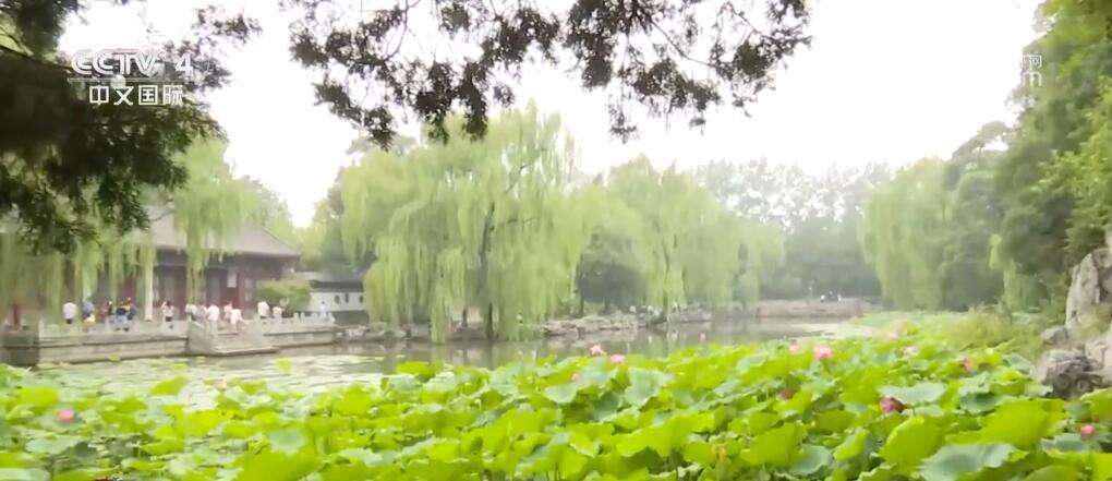 暑期“名校游”火爆 如何才能做到不虚此行？