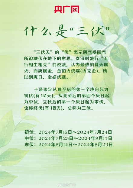 今日入伏！收下这份三伏天避暑养生指南