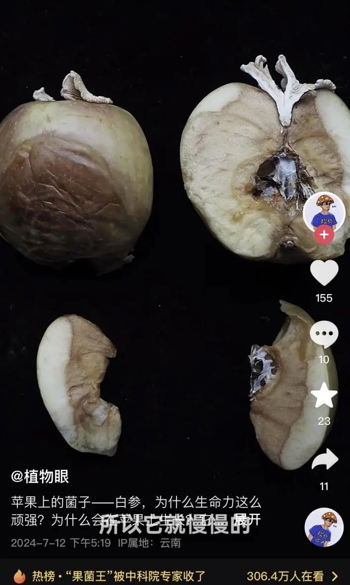 苹果长蘑菇后意外成网红！能吃？能！