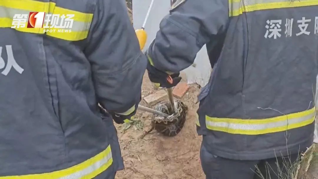 仅半月，深圳报警达70多起，警惕！