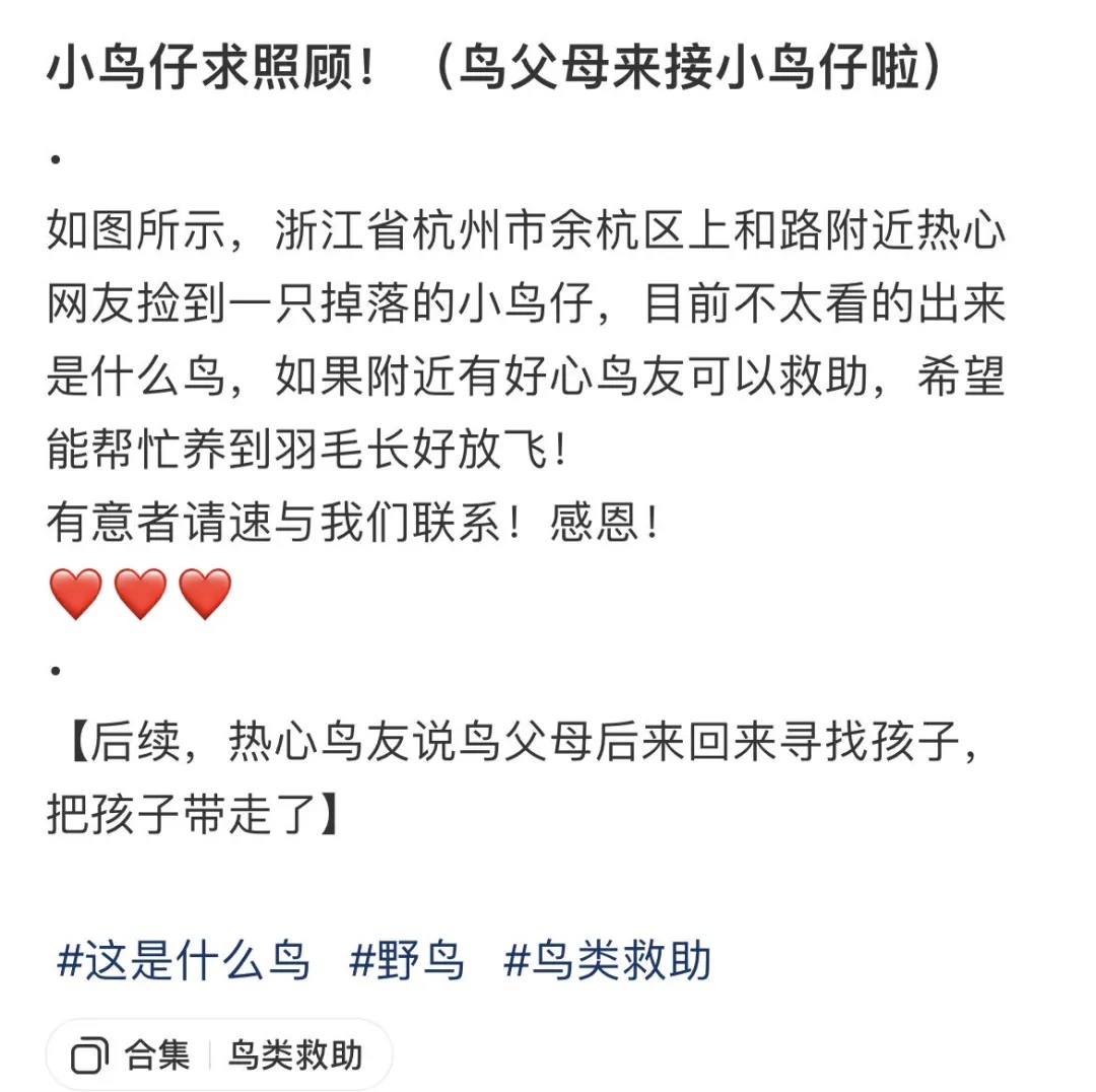 “不要捡!不要救!”路边看见它要小心 “不要捡!不要救!”路边看见它要小心
