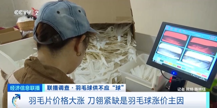 价格“狂飙”！热销品类卖断货！这项2.5亿人参与的运动，太火爆