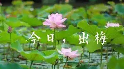 今日，江苏多地官宣出梅！