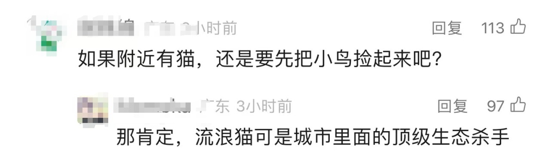 不要救！不要救！专家：并不是真正的救助，甚至会伤害→