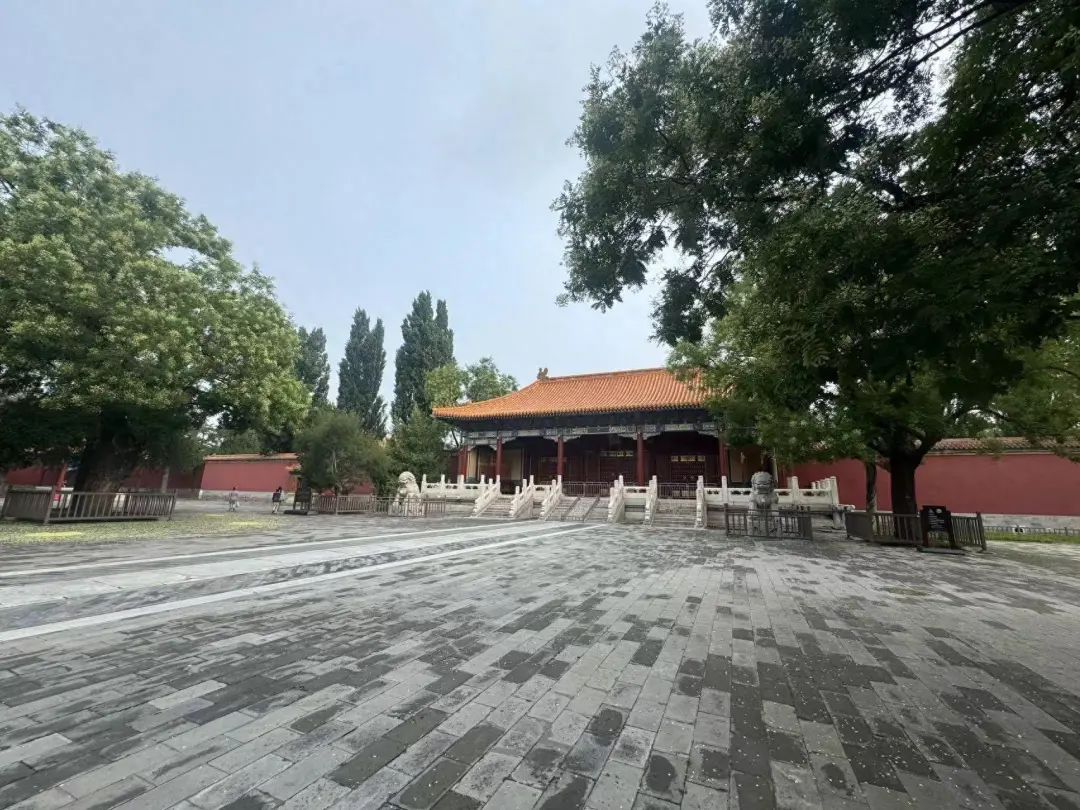 北京市属公园今起取消周一闭馆！欢迎大小朋友来玩~