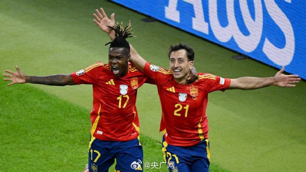 西班牙队夺欧洲杯冠军