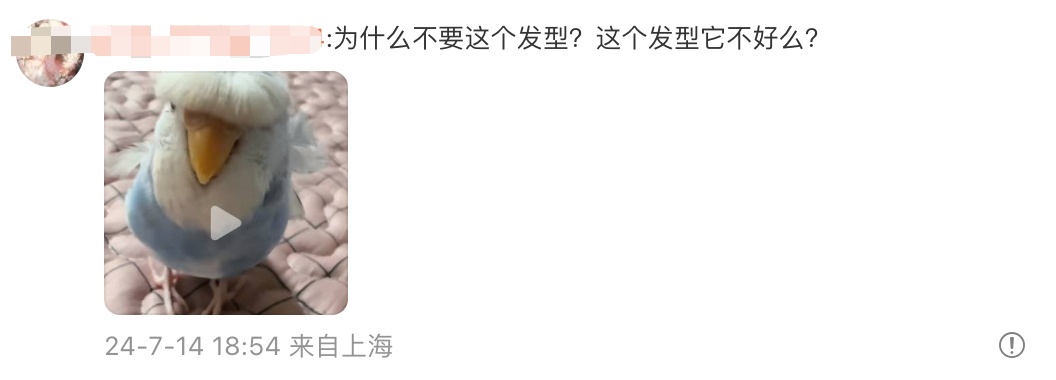 王楚钦晒“出征照”,发型抢眼 王楚钦晒“出征照”,发型抢眼