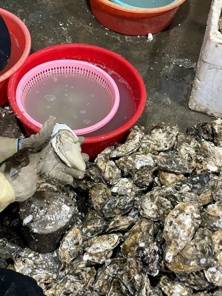 降价！厦门人的餐桌主角大量上市