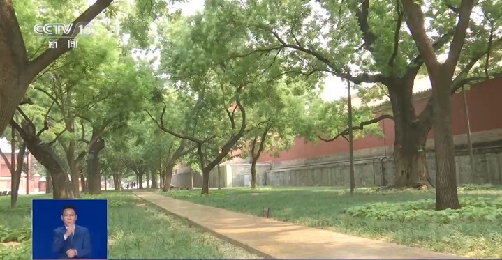 炎炎夏日 古人如何实现“冰块自由”？解锁故宫纳凉路线→