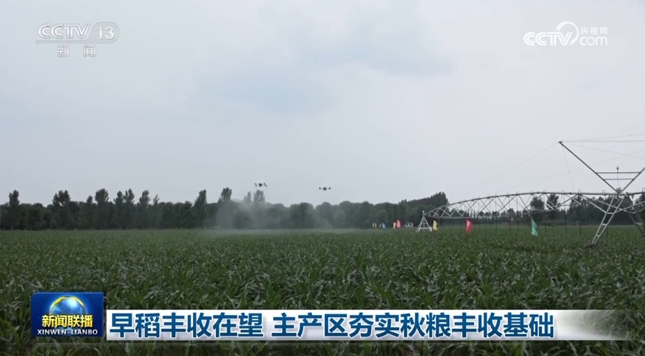 经济增长势头好、高质量发展活力足 “中国号”巨轮稳健前行